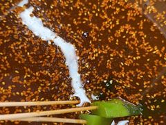 -徐妹串串香(春熙路店)