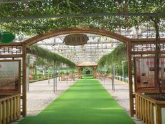 -兰陵国家农业公园