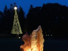 -福建鲤鱼洲酒店