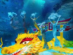 -上海海昌海洋公园