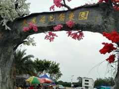 -天适樱花悠乐园
