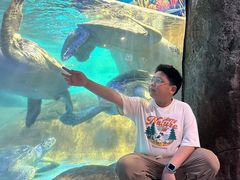 -海合安成都极地海洋公园