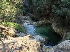 -南海湾森林生态园