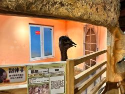 -Zoolung Zoolung动物主题公园(海信广场店)