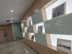 -重庆联合丽格第五医疗美容医院