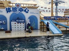 -秦皇岛乐岛海洋王国