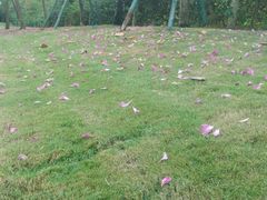 -三亚凤凰水城凯莱度假酒店