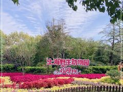 -上海野生动物园