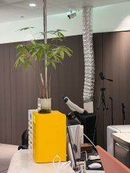 -BOF HAIR BY HONTO