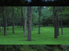 -北坞公园