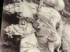 -秦始皇帝陵博物院-丽山园