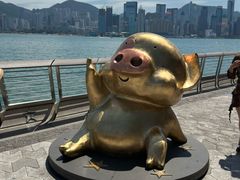 -星光大道