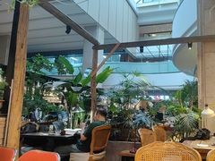 -大书房咖啡(中传国交店)