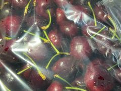 -菜园坝水果市场