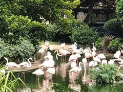 -九龙公园
