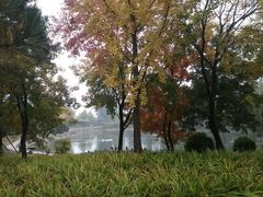 -中家鑫园温泉酒店鑫悦汤泉