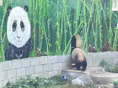 -南昌动物园