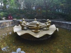 -杭州黄龙洞