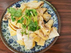 -九斤黄三黄鸡专卖店