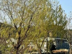 -晓琦农家菜馆·地道农家菜