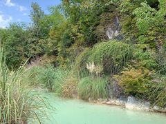 -上海吴淞炮台湾国家湿地公园