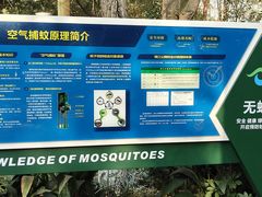 -成都市活水公园