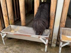 -云栖山谷露营地·团建年会·生日派对