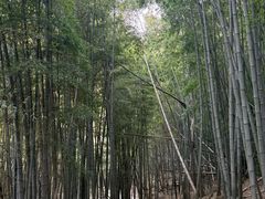 -穹窿山景区