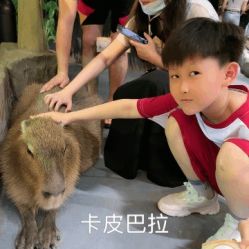 -Zoolung Zoolung动物主题公园(海信广场店)