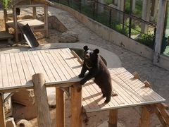 -石家庄市动物园