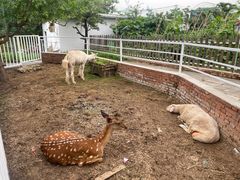 -丽泽山庄·生态怀柔菜·虹鳟鱼(红螺寺店)