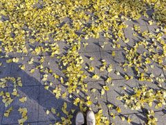 -西清公园