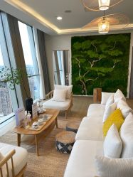 -POCO宝珂丽科技美肤