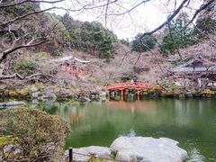 -醍醐寺