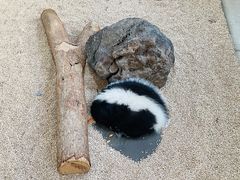 -海合安武汉极地海洋公园