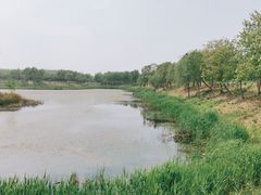 -东郊湿地公园