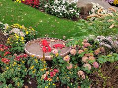 -上海共青森林公园