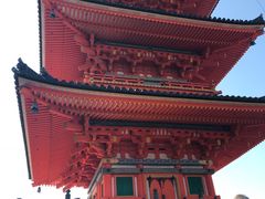-有栖山 清光院 清水寺