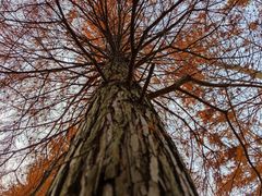 -南京市无想山景区