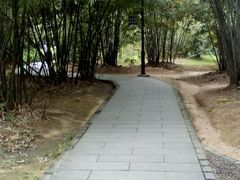 -大屏嶂森林公园