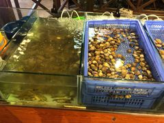 -渔家火锅·海鲜自助餐·演艺(亚龙湾天域酒店)