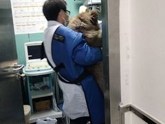 -宠颐生宠物医院·犬猫全科·皮肤科(商业街店)