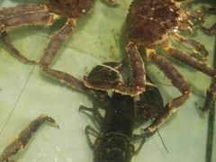 -味茂·老船夫1927(东海东路店)