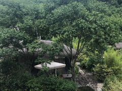 -看见远方·莫干遥远的山民宿