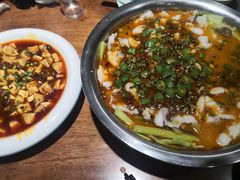 -文记四川鱼馆(小纬北路店)