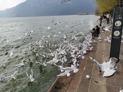 -海埂大坝