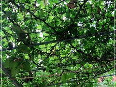 -伊隆斋(什刹海店)