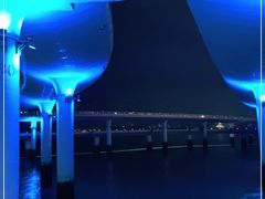 -演武大桥观景平台