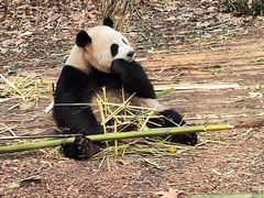 -蜜雪冰城(建设路店)