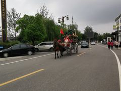-茯茶镇